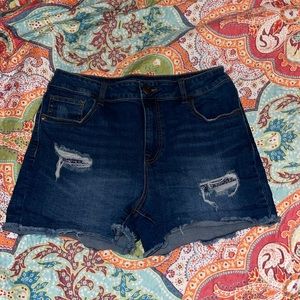 Maurices high rise shorts